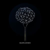 Olian - sunflower (feat. Hawkar Hijrany)