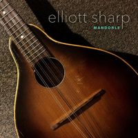 Elliott Sharp - Mandorle - New Music for Mandolin