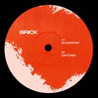 BRICK - Bloodsport (Explicit)