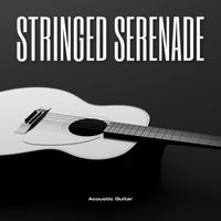 Acoustic Guitar - Stringed Serenade: Relaxing Guitar Music
