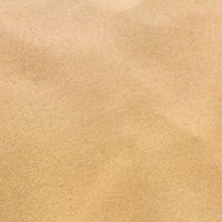 LEON - SAND CASTLE