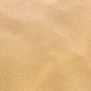 LEON - SAND CASTLE