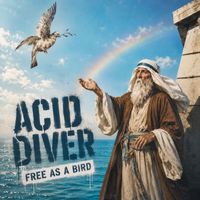 Acid Diver - Free As A Bird