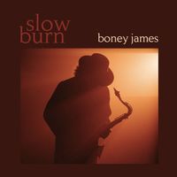 Boney James - All I Want Is You (Instrumental)