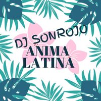 Dj Sonrojo - Anima Latina