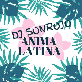 Dj Sonrojo - Anima Latina