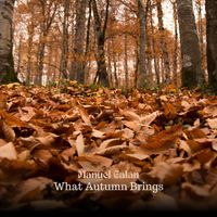Manuel Galán - What Autumn Brings