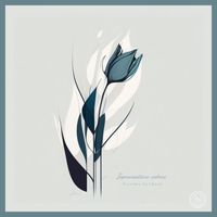Maxime Verdoni - Improvisations calmes