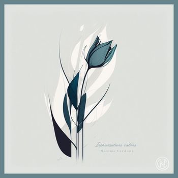 Maxime Verdoni - Improvisations calmes