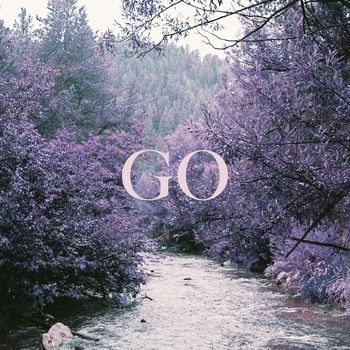 Specific Ocean - Go