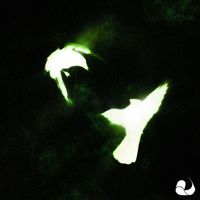 ANGEL CANNON - Lie To Me