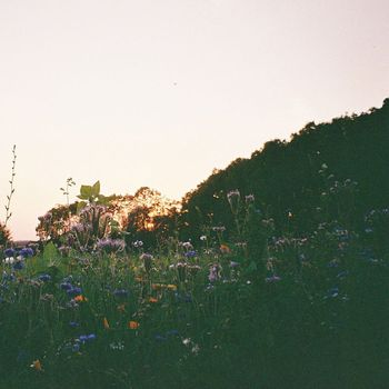Hjálmar - Vor