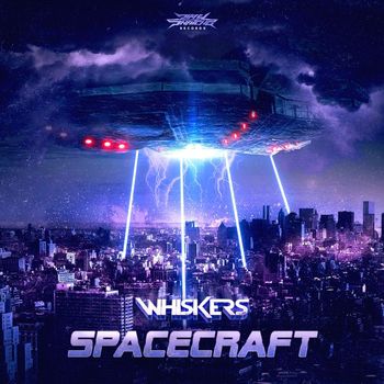 Whiskers - Spacecraft