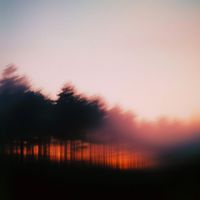Amparo - December Sun