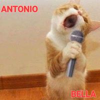 Antonio - BELLA (Explicit)