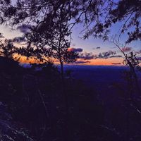 butterfly - Twilight