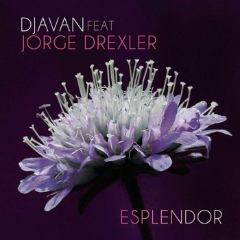 Djavan - Esplendor