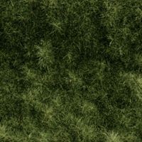 Burna - Touch Grass