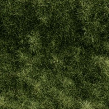 Burna - Touch Grass