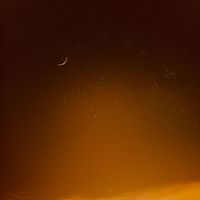 Miro - Moonlit
