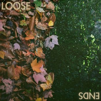 Half Moon Run - Loose Ends