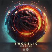 Twodelic - Where Is My Mind