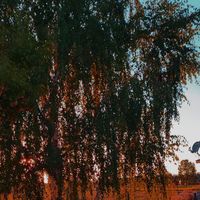 envy - what's the rush