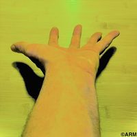 ARM - Show 'Em How