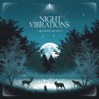 Midnight Groove - Night Vibrations