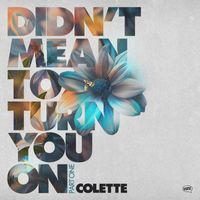 Colette - Didn't Mean To Turn You On, Pt. 1