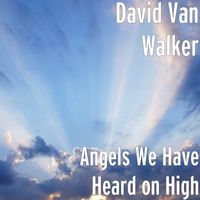 David Van Walker - Angels We Have Heard on High