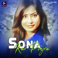 Anish Kumar - Sona Kar Pinjra