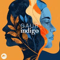 GAUR - Indigo