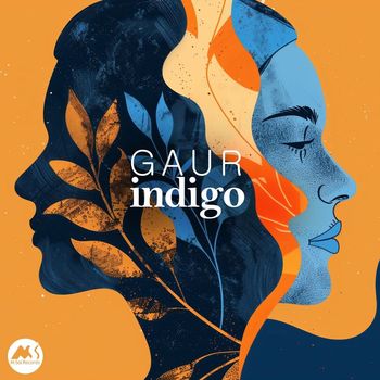 GAUR - Indigo
