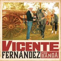 Vicente Fernández - Vicente Fernández Con Banda