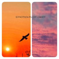 Erica - Emotions of grief