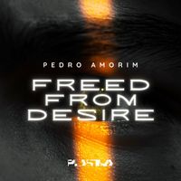 Pedro Amorim - Freed From Desire