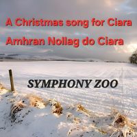 Symphony Zoo - A Christmas song for Ciara