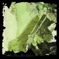 Tom Rogers Band - Where Our Love Grows