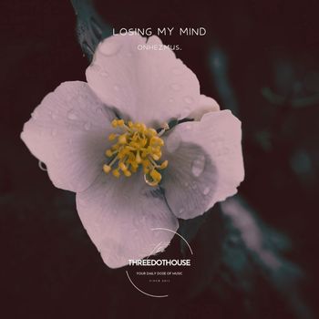 onhezmus. - Losing My Mind