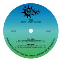 TEAL - Flip That Switch (SKRS INTL Lo Slung Remix)