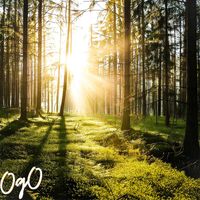 OgO - BEST RELAX ACOUSTIC BGM 2024