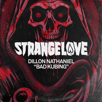 Dillon Nathaniel - Bad Kubing