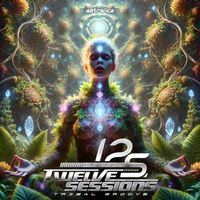 Twelve Sessions - Tribal Groove