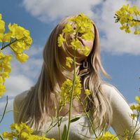 purpl - in: bloom