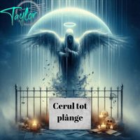 Taylor - Cerul Tot Plange