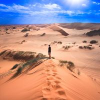 Moby Dick - 사막에 홀로 서서 바람을 느끼다 (Standing alone in the desert, feeling the wind)