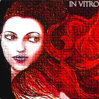 In Vitro - In Vitro