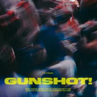 DJ Q - Gunshot!