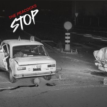 The Peacocks - Stop (Explicit)